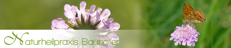 naturheilpraxis-bauhofer