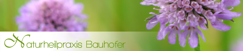 naturheilpraxis-bauhofer