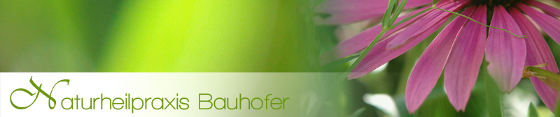 naturheilpraxis-bauhofer